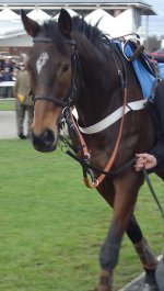 Mr McGoldrick Wetherby Dec 2011.JPG