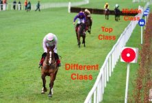 faugheen.jpg