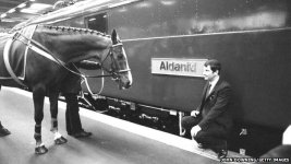 _76492605_horse-and-train.jpg