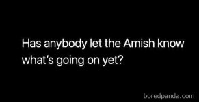 amish.jpg