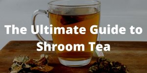 Shroom-Tea.jpg