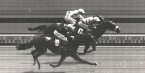 1949-Derby-photo-finish-1024x517.jpg
