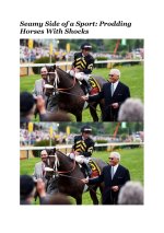 New York Times Buzzer article-images-0.jpg