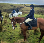 Screenshot 2026-03-11 at 16.20.44.png