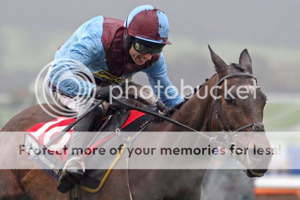 3018123Cheltenham13Mar08Ballyfitzwi.jpg