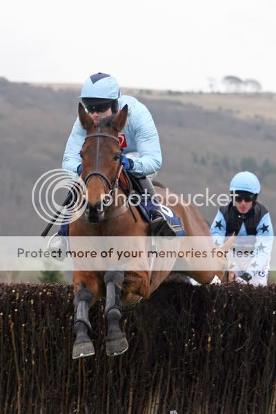 3018019Cheltenham13Mar08Silverburn.jpg