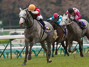 GoldShip1Japanese2KGuineas2012KH298.jpg