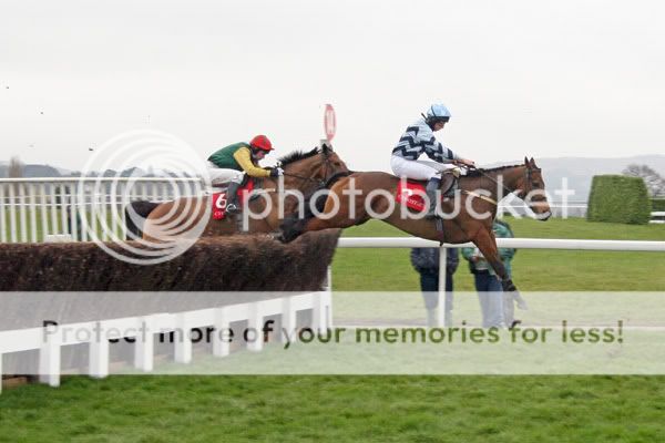3019112Cheltenham14Mar08Amicelliwin.jpg