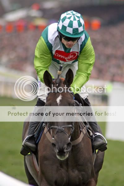 3019079Cheltenham14Mar08Denmanwinne.jpg
