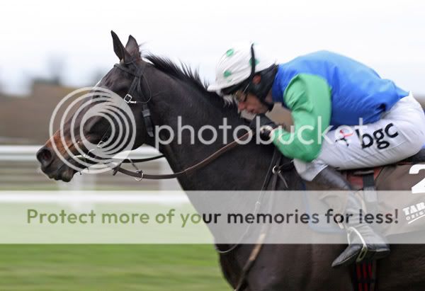 2983111Ascot24Nov07SevenIsMyNumberw.jpg