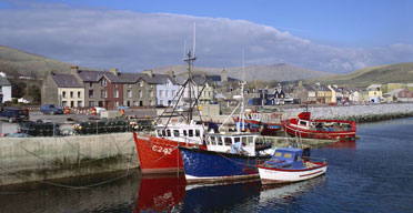 dingle372.jpg