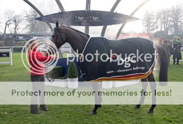 2992050Ascot22Dec07LoughDergafterTh.jpg
