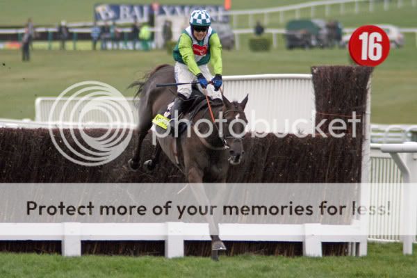 3019094Cheltenham14Mar08DenmanwinsT.jpg