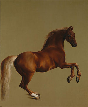 300px-Whistlejacket_by_George_Stubbs.jpg