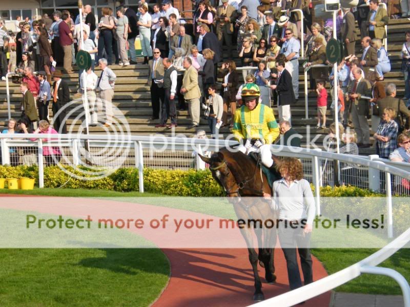 2008_0506CheltenhamRaces0003.jpg