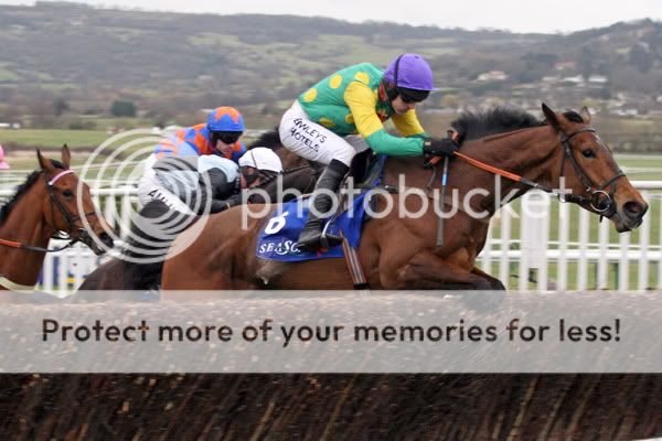 3018055Cheltenham13Mar08MasterMinde.jpg