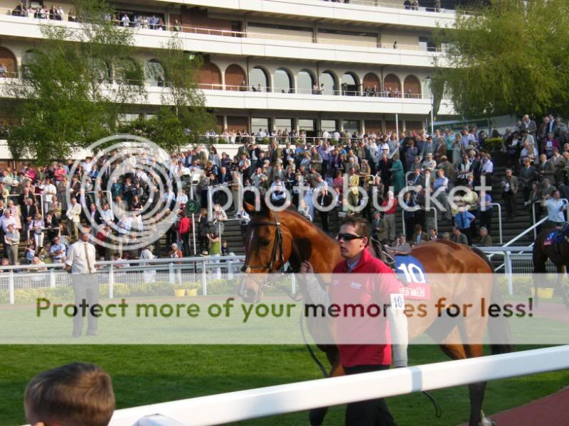 2008_0506CheltenhamRaces0010.jpg