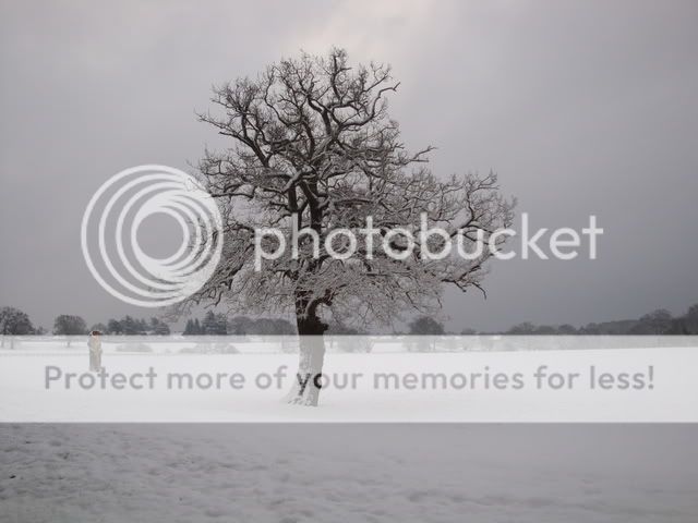 SNOWATENGLEFIELDGREEN2NDFEBRUARY-5.jpg