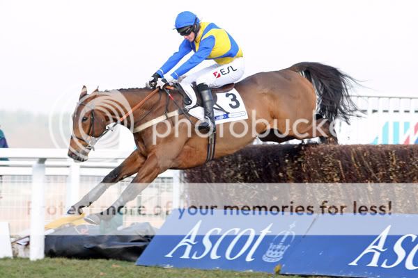 2991030Ascot21Dec07KingLouiswinsThe.jpg