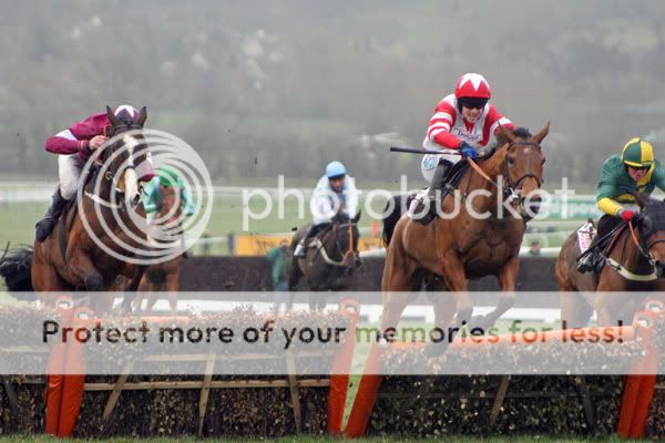 3019069Cheltenham14Mar08TheTotherOn.jpg