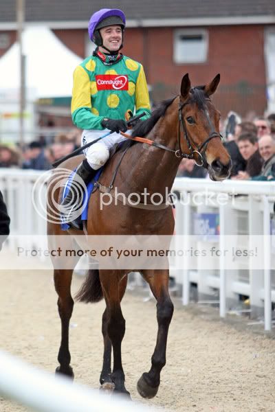 3018067Cheltenham13Mar08MasterMinde.jpg