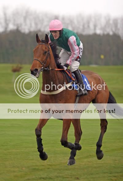 2985040Newbury30Nov07HobbsHillwinne.jpg