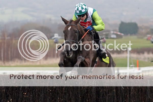 3019087Cheltenham14Mar08DenmanwinsT.jpg