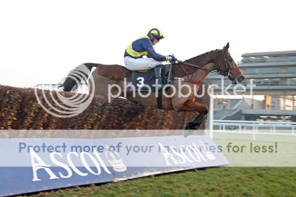 2991067Ascot21Dec07BleuSuperbewinsT.jpg