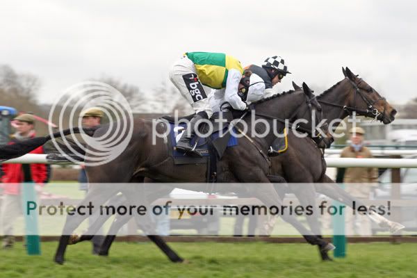 3018025Cheltenham13Mar08AlbertasRun.jpg