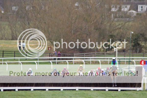 3018073Cheltenham13Mar08OurVicwinsT.jpg