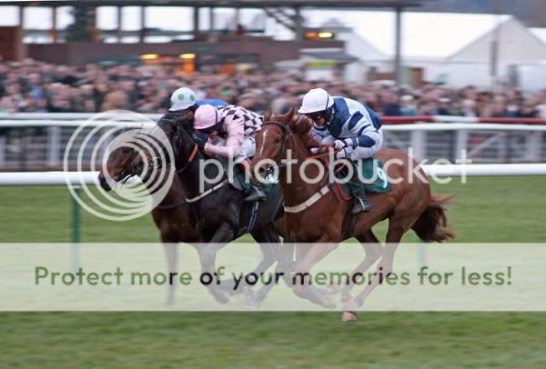 2995091Cheltenham1Jan08LordGenerous.jpg