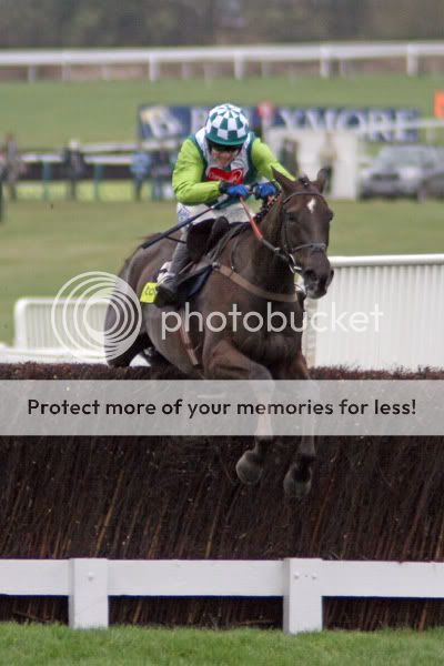 3019093Cheltenham14Mar08DenmanwinsT.jpg