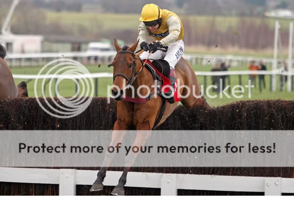 2995034Cheltenham1Jan08LeadOnwinsTh.jpg