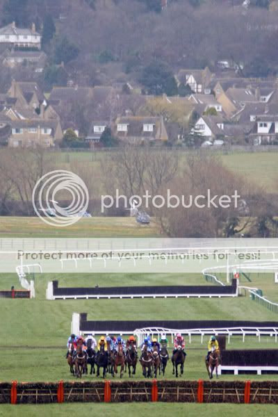 3019020Cheltenham14Mar08approaching.jpg