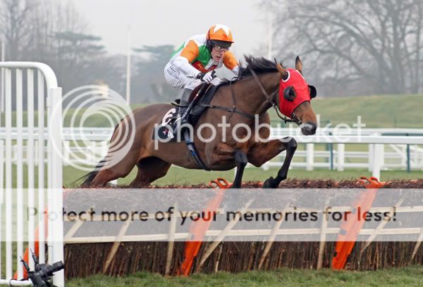 2992037Ascot22Dec07LoughDergwinsThe.jpg