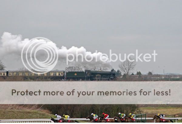 2995071Cheltenham1Jan08Choochoo.jpg