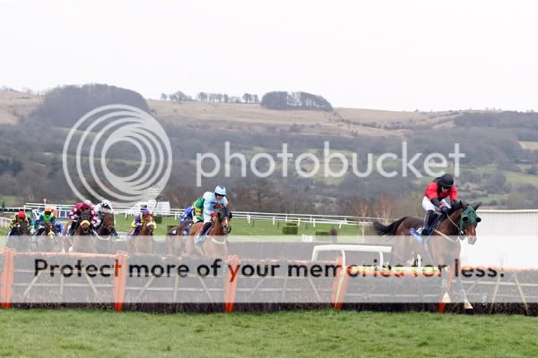 3019045Cheltenham14Mar08Baltiman.jpg