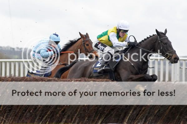 3018023Cheltenham13Mar08AlbertasRun.jpg
