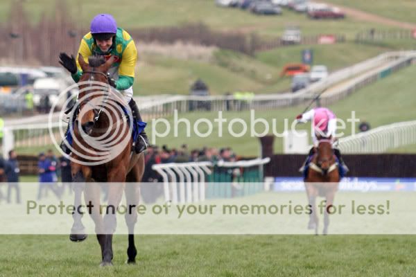 3018058Cheltenham13Mar08MasterMinde.jpg