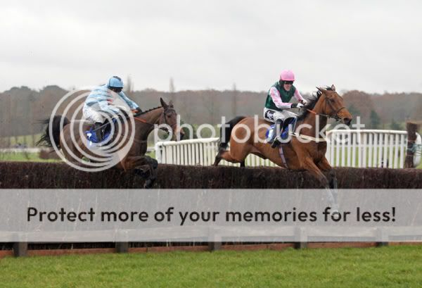 2985046Newbury30Nov07HobbsHillwinsT.jpg