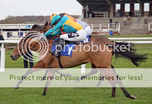 2985009Newbury30Nov07SoliyawinsTheD.jpg
