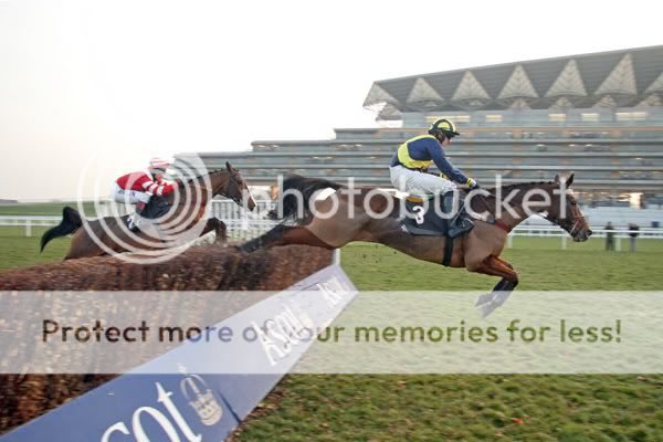 2991066Ascot21Dec07BleuSuperbewinsT.jpg