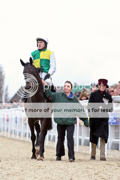 3018027Cheltenham13Mar08AlbertasRun.jpg