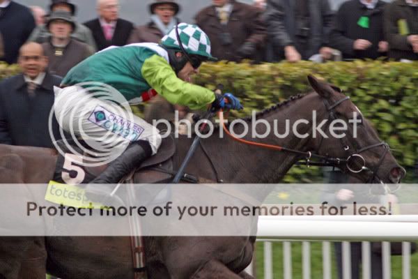 3019099Cheltenham14Mar08DenmanwinsT.jpg