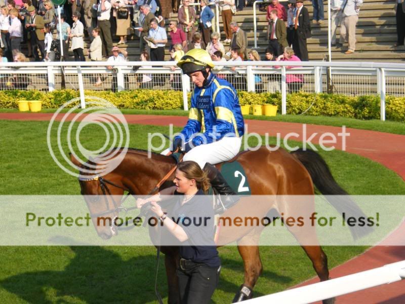 2008_0506CheltenhamRaces0002.jpg
