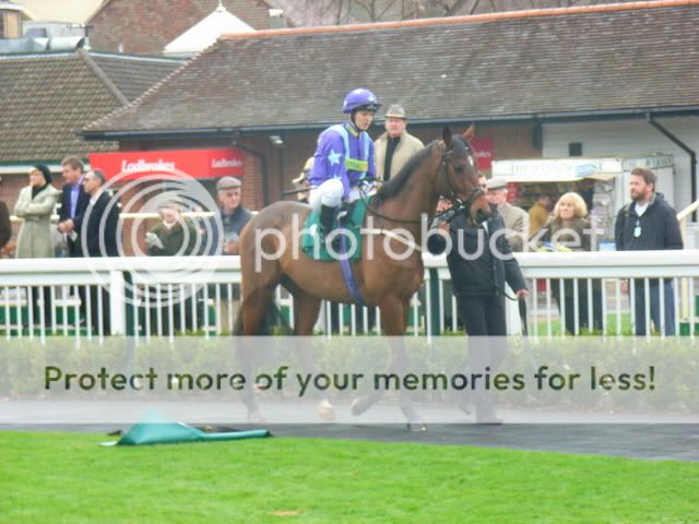 BAYHAWKATLINGFIELD17THNOVEMBER20-1.jpg