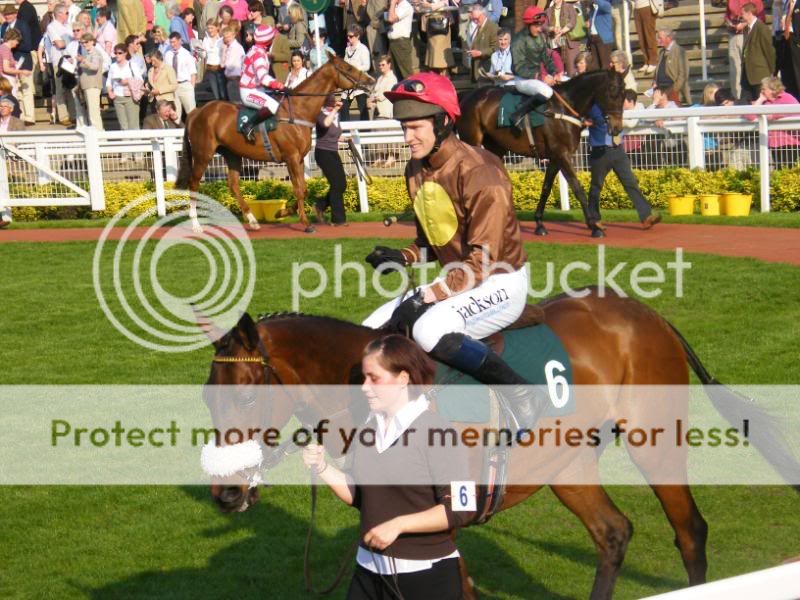 2008_0506CheltenhamRaces0001.jpg